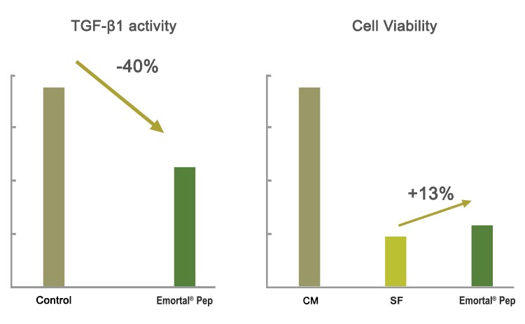 Efficacy in Dermal Papilla Cell (in vitro)