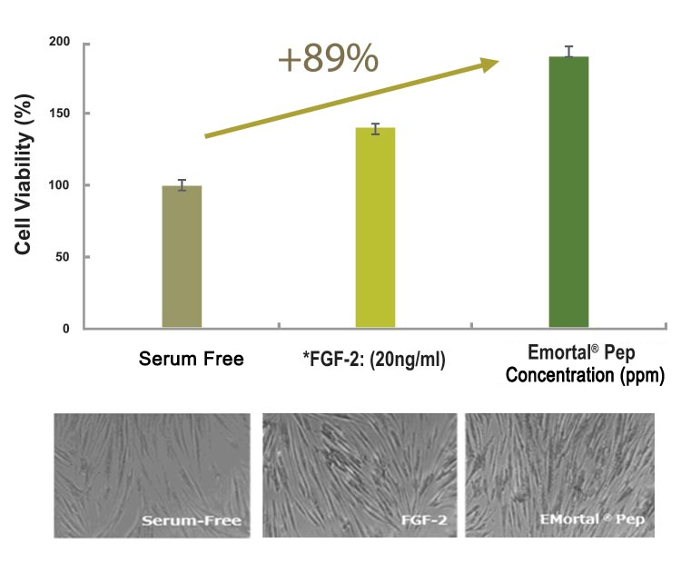 Growth of Fibroblast (in vitro)
