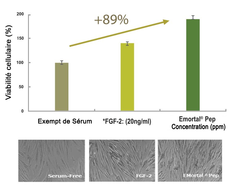 Croissance du Fibroblaste (in vitro)