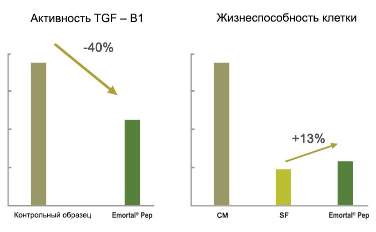EЭффективность в клетке дермального гребня (in vitro)
